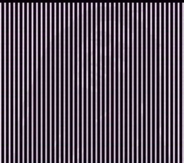 Ternyata Ada Sesuatu yang Muncul dari 13 Gambar Ini Saat Ponselmu Digoyangkan Perlahan, Coba Aja! 16