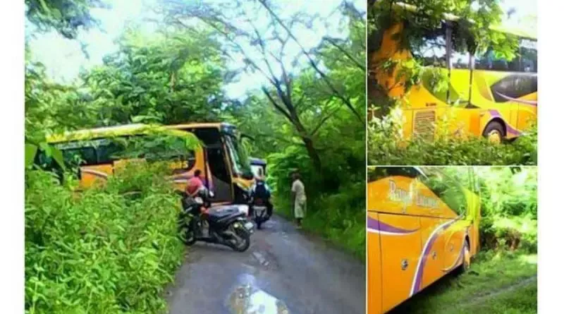 Cerita Mengagetkan Kembali Terdengar Dari Blora. Sebuah Bus Terjebak dalam Hutan Secara Tiba-tiba! 6