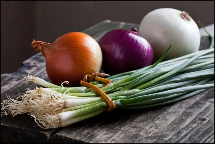 Dear Calon Ibu Muda, Inilah 10 Cara Menyimpan Makanan Dalam Kulkas yang Sebenarnya 21
