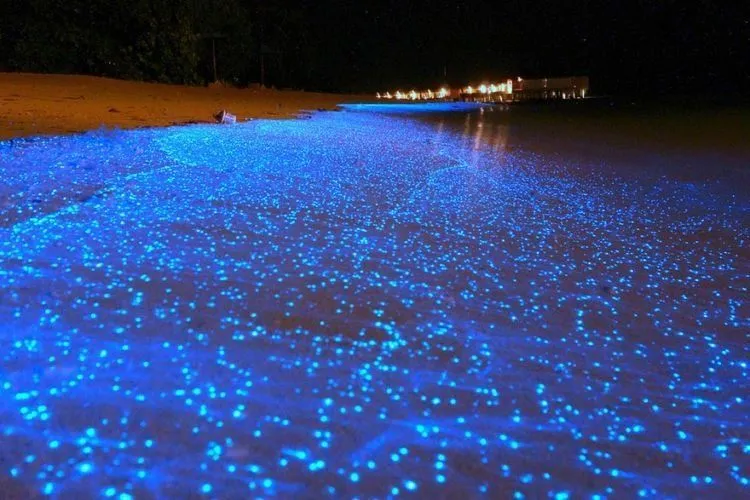 9 Pantai Paling Menakjubkan di Dunia. Sekali Seumur Hidup, Luangkanlah Traveling ke Sana! 14