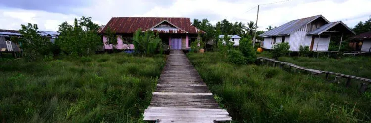 Kenalan dengan Kota Agats! Kota Bebas Polusi di Papua yang Mengapung di Atas Papan 6 Agats, rawa, papua