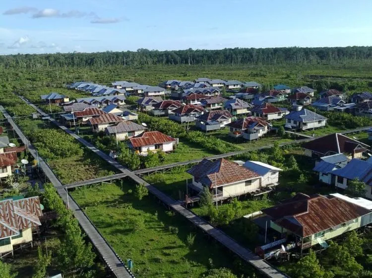Kenalan dengan Kota Agats! Kota Bebas Polusi di Papua yang Mengapung di Atas Papan 7