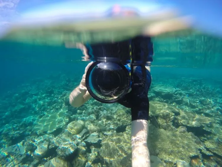 Yuk Belajar Teknik Split Underwater Photography yang Lagi Hits! Paduan Foto Dua Dunia yang Memesona 10