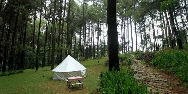 Camping Nggak Melulu Selalu di Tenda. Rasakan Camping Mewah di Helikopter Untuk Sensasi Luar Biasa! 9