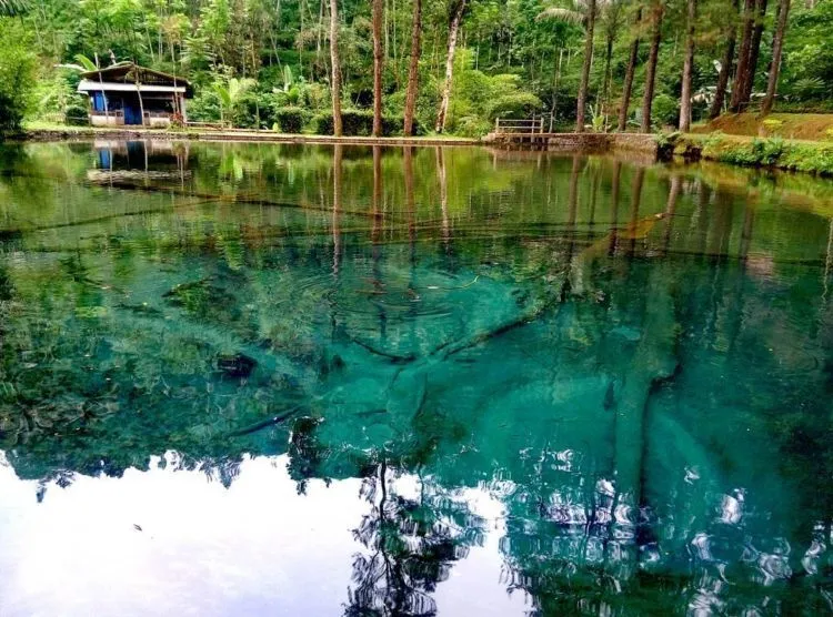 Habiskan Akhir Pekan di Wisata Rambut Monte, Blitar. Cocok Bikin Liburanmu Makin Cetar! 7