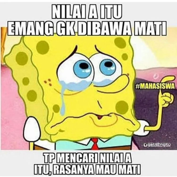 13 Meme Jejak Perjuangan Berdarah-darah Para Mahasiswa. Yang Ketawa Paling Keras Pasti Sudah Lulus 20
