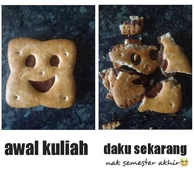 13 Meme Jejak Perjuangan Berdarah-darah Para Mahasiswa. Yang Ketawa Paling Keras Pasti Sudah Lulus 14
