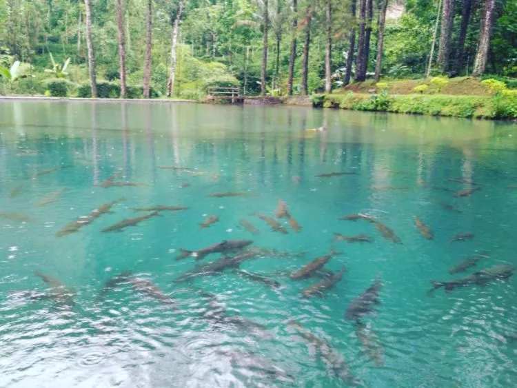 Habiskan Akhir Pekan di Wisata Rambut Monte, Blitar. Cocok Bikin Liburanmu Makin Cetar! 8