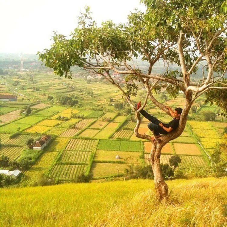 8 Destinasi Wisata Paling Hits dan Instagramable di Bali. Nyesel Dong Kalau Belum Pernah ke Sini 11