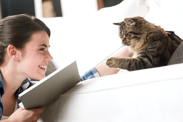 7 Kesamaan antara Cewek dengan Kucing. Cowok Harus Baca Biar Tepat Memperlakukannya 12
