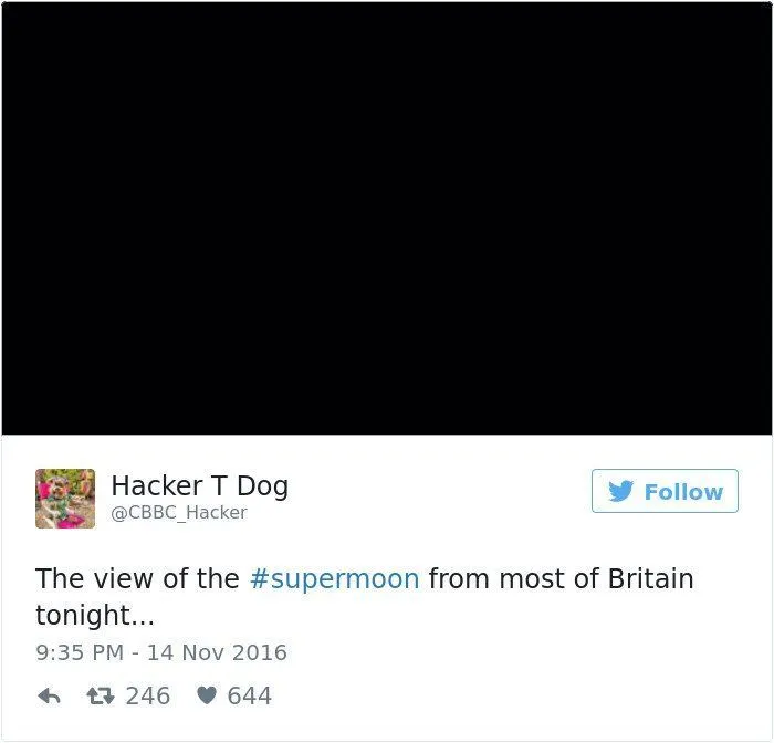 13 Meme Penampakan Gagal Supermoon 14 November. Nggak Sesuai Ekspektasi, Dapetnya Malah Begini! 16