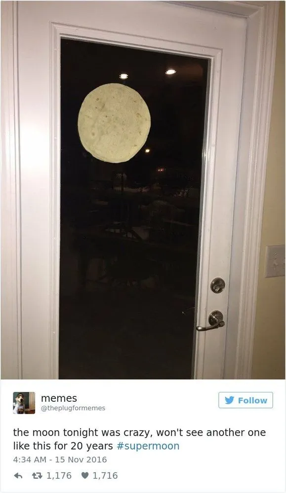 13 Meme Penampakan Gagal Supermoon 14 November. Nggak Sesuai Ekspektasi, Dapetnya Malah Begini! 14