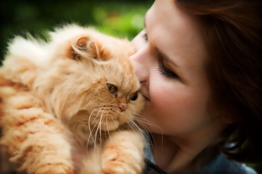 7 Kesamaan antara Cewek dengan Kucing. Cowok Harus Baca Biar Tepat Memperlakukannya 11