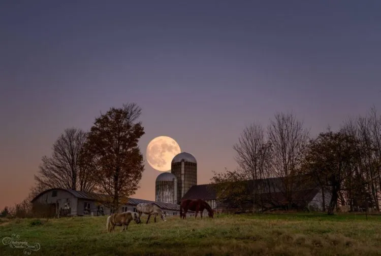 21 Foto Supermoon yang Menunjukan Keagungan Tuhan yang Maha Perkasa, Epik Kayak di Film-Film Fantasi 29