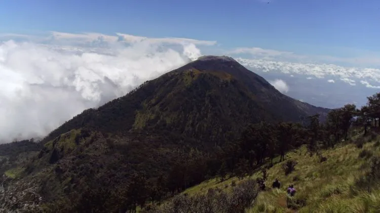 Ada Istana Eropa di Lereng Gunung Arjuno. Nggak Nyangka Ada Bangunan Begini di Hutan Pasuruan! 15