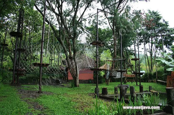 Ada Istana Eropa di Lereng Gunung Arjuno. Nggak Nyangka Ada Bangunan Begini di Hutan Pasuruan! 13