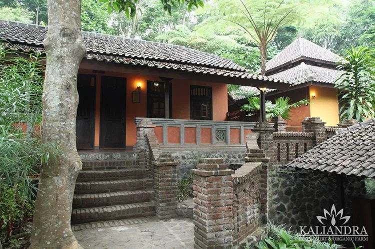 Ada Istana Eropa di Lereng Gunung Arjuno. Nggak Nyangka Ada Bangunan Begini di Hutan Pasuruan! 11