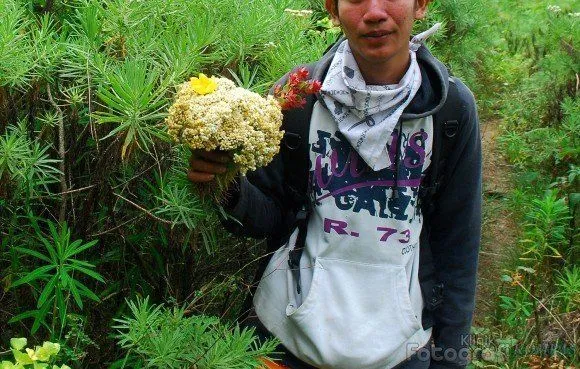 Setiap Pendaki Pasti Pernah Alay Pada Awalnya. Ngaku Aja, Lah ya... 10