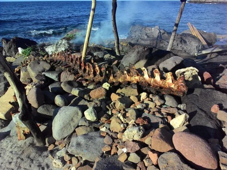 Tradisi Berburu Paus di Lamalera, NTT Menuai Pro-Kontra. Ritual Berbahaya yang Hingga Kini Masih Dijaga 4