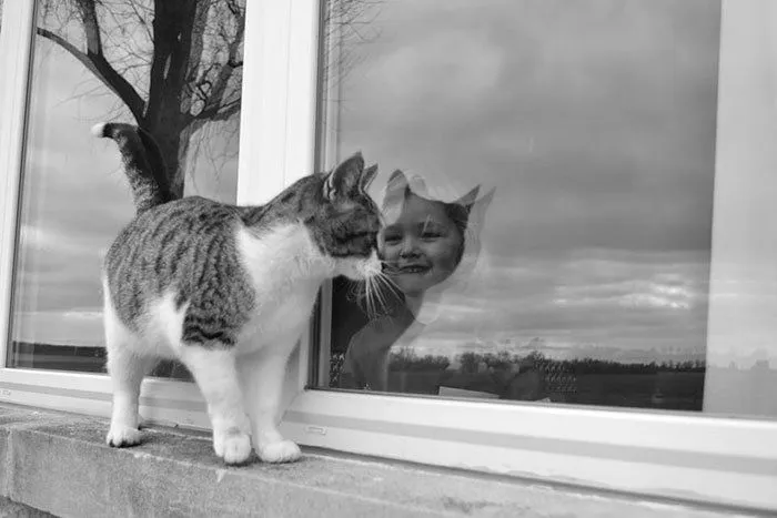 7 Tips Foto Refleksi yang Mengagumkan. Saking Kerennya Sampai Dikira Editan! 16