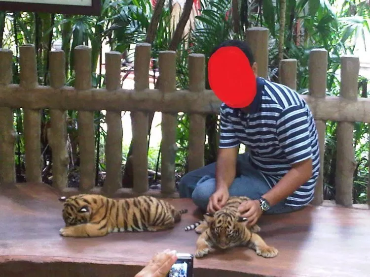 Kelakuan Manusia Mulai Nggak Beradab. Dua Lelaki Tega-teganya 'Berselancar' dengan Tubuh Penyu! 8