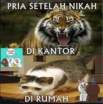 15 Gambar Lucu Ini Buktikan Kalau Pernikahan Punya Sisi Kocak yang Bisa Diceritakan! 27