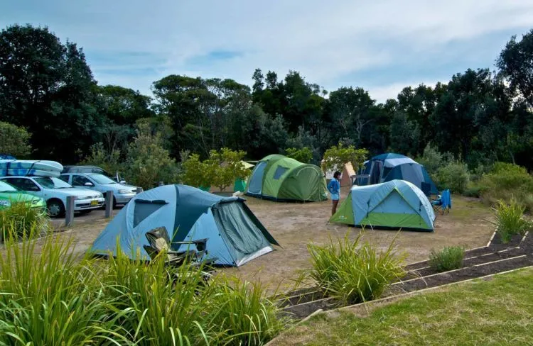 8 Pilihan Spot Camping Ini Lebih Seru, Gunung Sama Pantai Mah Sudah Biasa! 13