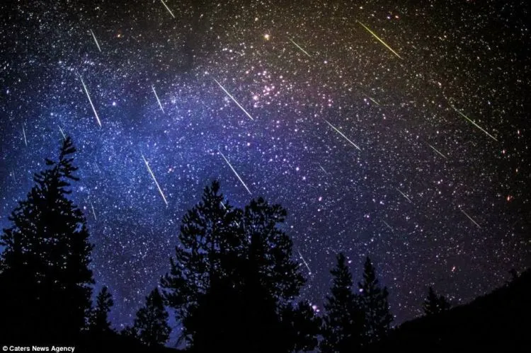 Dua Hujan Meteor Terindah Hadir di Bulan November. Fenomena Langka yang Wajib Kita Nikmati Bersama! 8