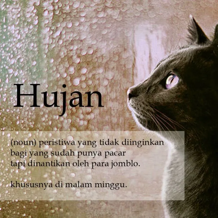 18 Meme Ini Meyakinkanmu Jika Musim Hujan Bawa Perasaan Jadi Gelisah, Cepatlah Datang Musim Kemarau! 19 musim hujan