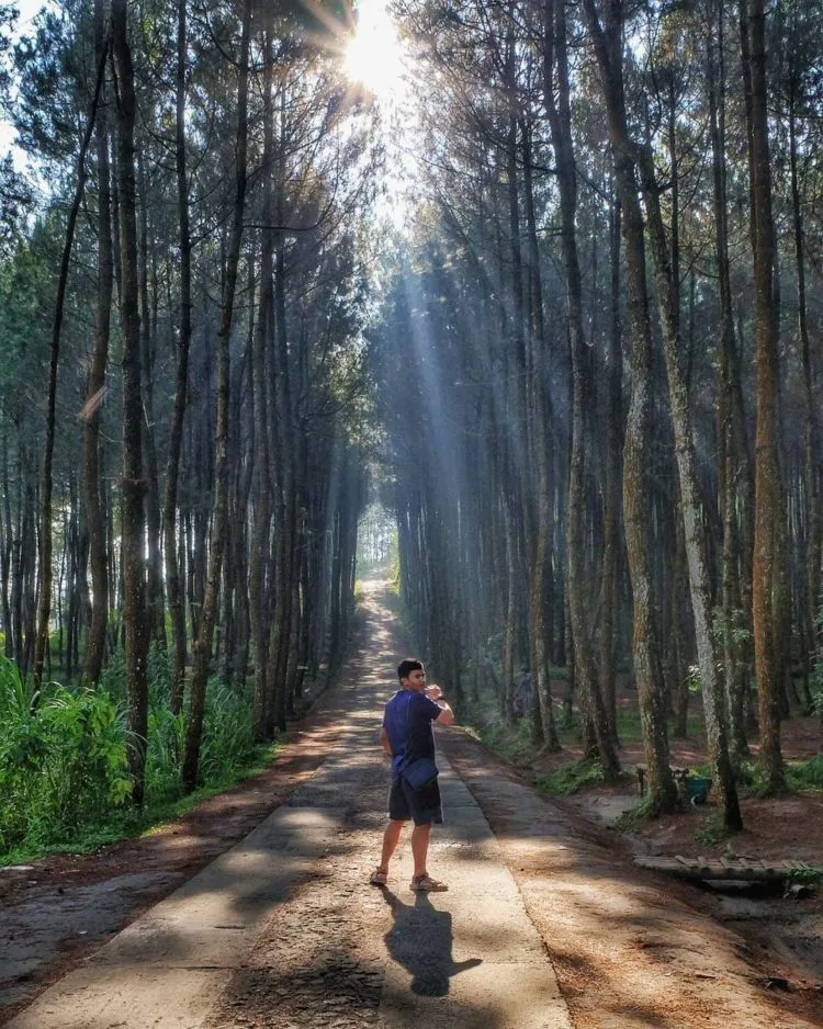 Destinasi Hits yang Harus Kamu Datangi di Magelang. Yuk Hunting Foto Kekinian di Top Selfie Kragilan! 9