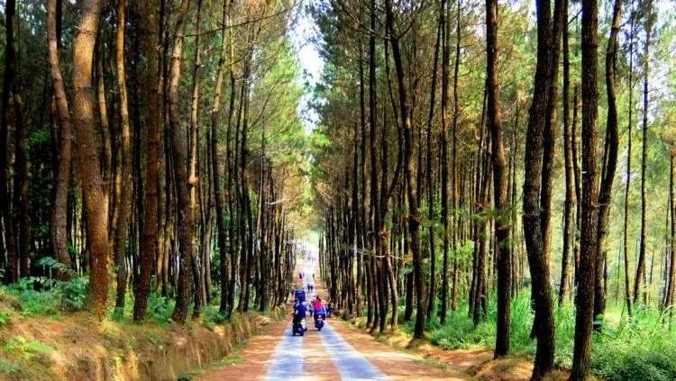 Destinasi Hits yang Harus Kamu Datangi di Magelang. Yuk Hunting Foto Kekinian di Top Selfie Kragilan! 10
