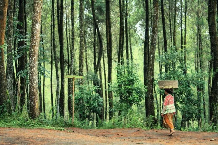 Destinasi Hits yang Harus Kamu Datangi di Magelang. Yuk Hunting Foto Kekinian di Top Selfie Kragilan! 8