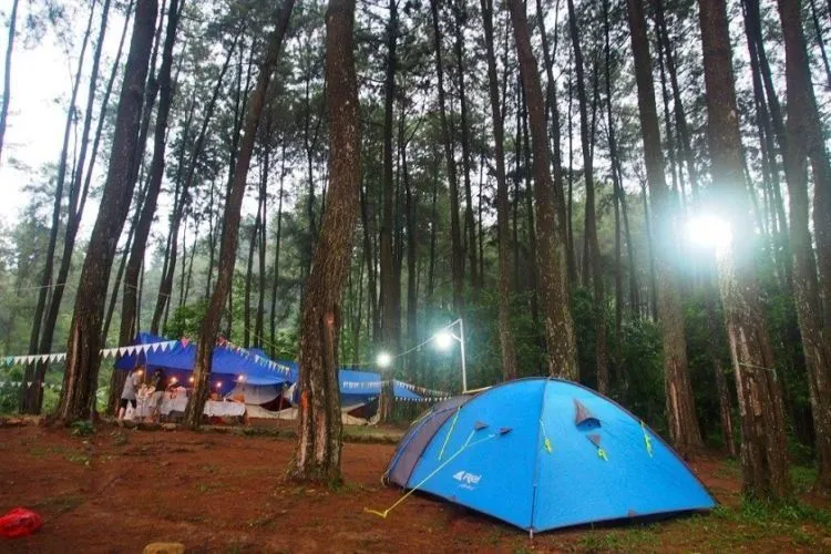 8 Pilihan Spot Camping Ini Lebih Seru, Gunung Sama Pantai Mah Sudah Biasa! 10