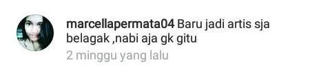 12 Komentar Pedas Haters Ini Bikin Kamu Bersyukur Nggak Jadi Seleb. Mending Dimarahi Dosen Penguji! 44
