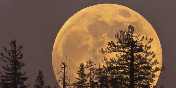 Bulan akan Terlihat Sangat Besar pada 14 November, Fenomena Langka Ini Jangan Sampai Kamu Lewatkan! 5