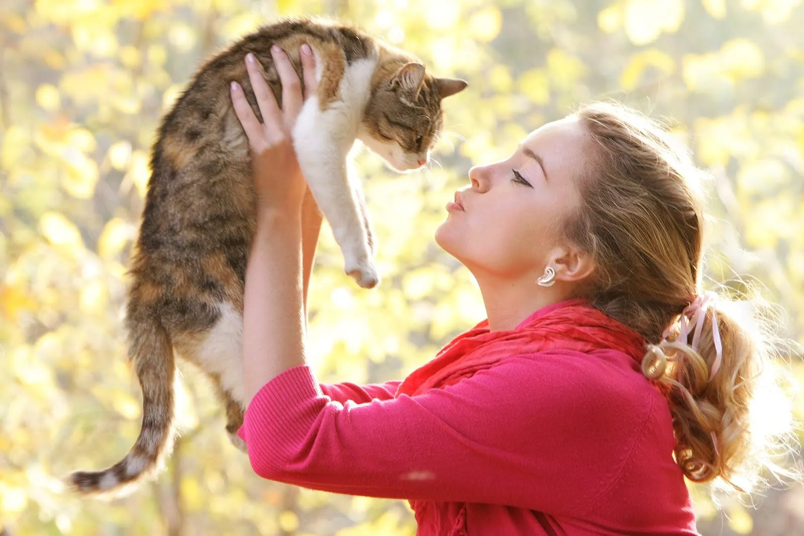 7 Kesamaan antara Cewek dengan Kucing. Cowok Harus Baca Biar Tepat Memperlakukannya 8