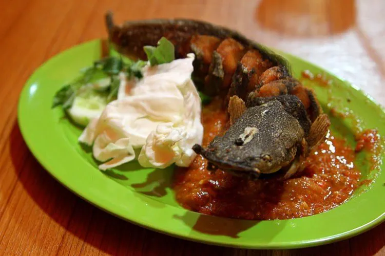10 Daftar Menu Makan Pagi-Malam Khusus Mahasiswa; Kurang dari 25 Ribu, Penyelamat di Tanggal Tua 15