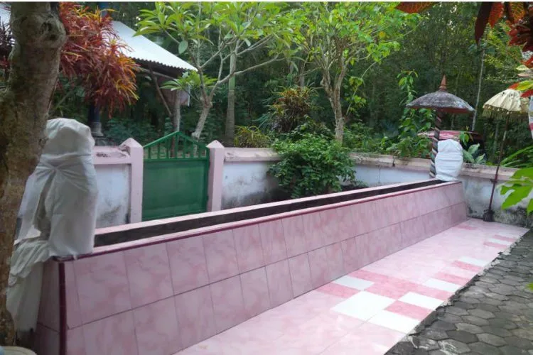 Menelisik Keangkeran Alas Purwo, Banyuwangi. Hutan yang Jadi Tempat Kumpul Makhluk Gaib se Jawa! 9