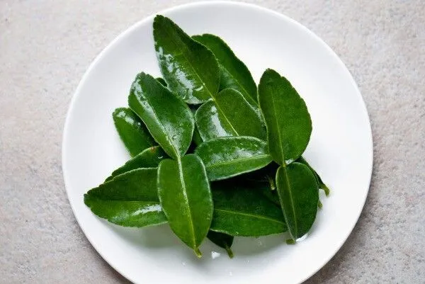 Biar Cantik atau Gantengmu Nggak Mubazir, Hilangkan Dulu Bau Sepatu Dengan 5 Cara Ini! 7