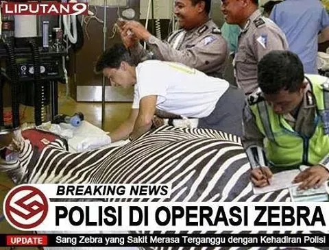 17 Meme Kocak Operasi Zebra, Mulai yang Wajar Sampai Nggak Masuk Akal! 21
