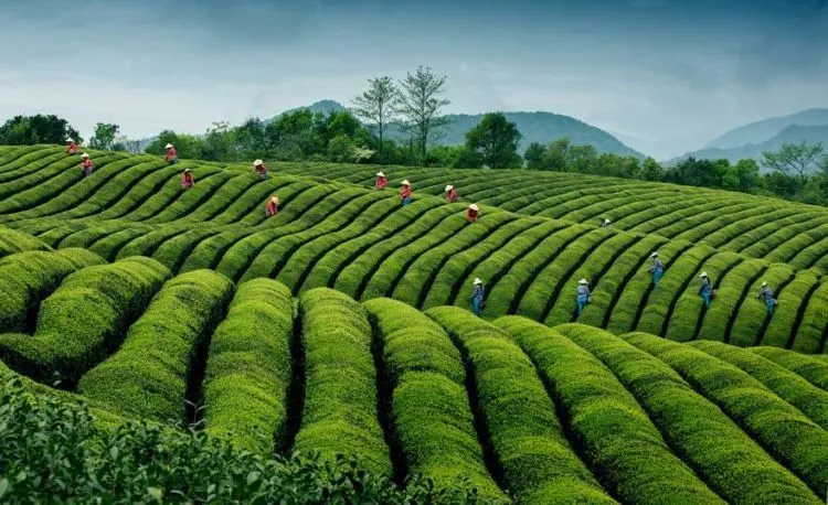 Serunya 15 Foto Travel Terbaik dari Siena International Photo Awards Ini. Kualitas Fotonya Tak Tertandingi! 29