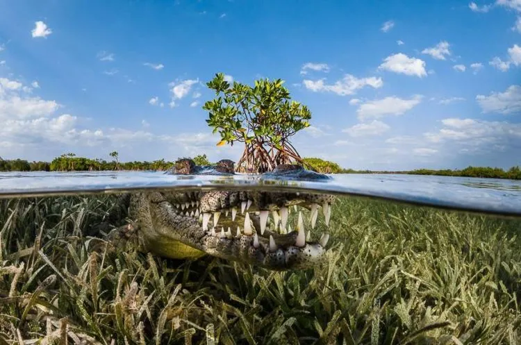 Serunya 15 Foto Travel Terbaik dari Siena International Photo Awards Ini. Kualitas Fotonya Tak Tertandingi! 21