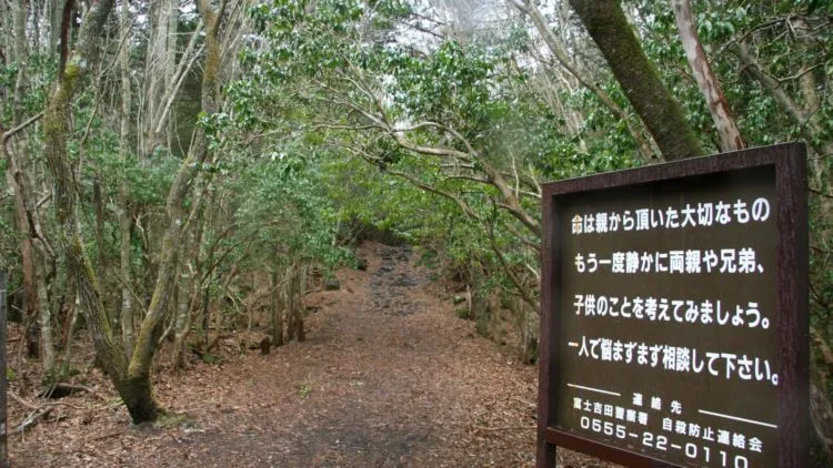 8 Hutan Ini Bakal Bikin Kamu Merinding. Bukan Cuma Cerita Seram Saja, Tapi Juga Suasananya! 12