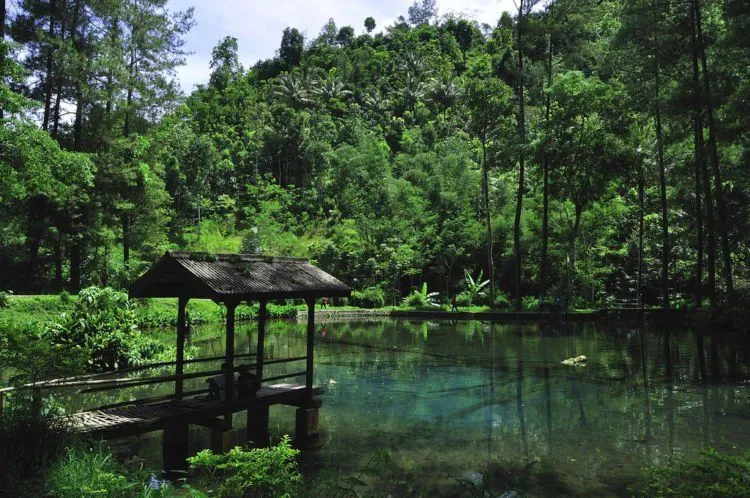 Habiskan Akhir Pekan di Wisata Rambut Monte, Blitar. Cocok Bikin Liburanmu Makin Cetar! 5