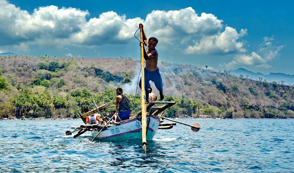 Tradisi Berburu Paus di Lamalera, NTT Menuai Pro-Kontra. Ritual Berbahaya yang Hingga Kini Masih Dijaga