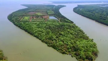Wow, Ada Pulau Muncul Setelah Bencana Lumpur Lapindo. Tempat Indah Ini Bernama Pulau Sarinah!
