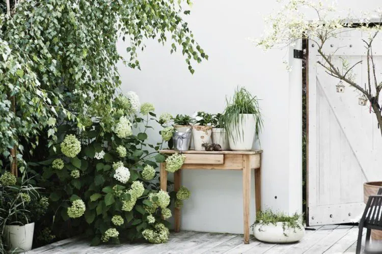 Rumah Minimalis Khas Skandinavia; Low Budget dan Ideal Buat Ditinggali Pasangan Muda 14