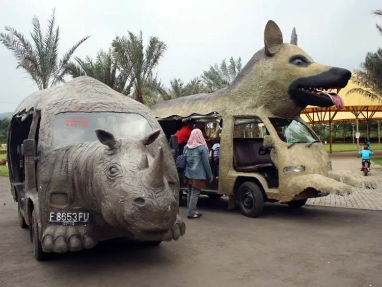 10 Foto Kocak Saat Para Hewan Berkendara di Jalan Raya. Hati-Hati Saat Berpapasan Dengan Mereka 20