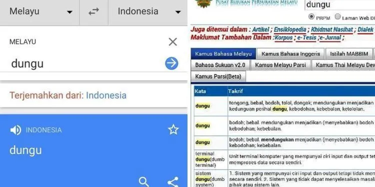 Karena Bilang ‘Betapa Dungunya Indon Ani’, Fakhrul Razi Dimusuhi Indonesia. Masih Mau Ngeles Tapi... 9