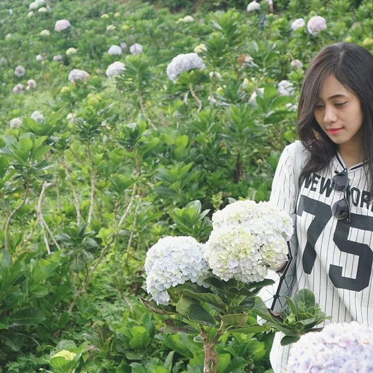 5 Taman Bunga di Indonesia Ini Sempurna untuk Latar Foto Pre-Wedding. Nggak Usah Jauh ke Luar Negeri 8